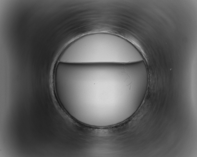 X0000088641088200705250914