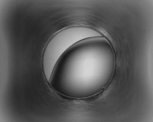 X0000088641089200705250914