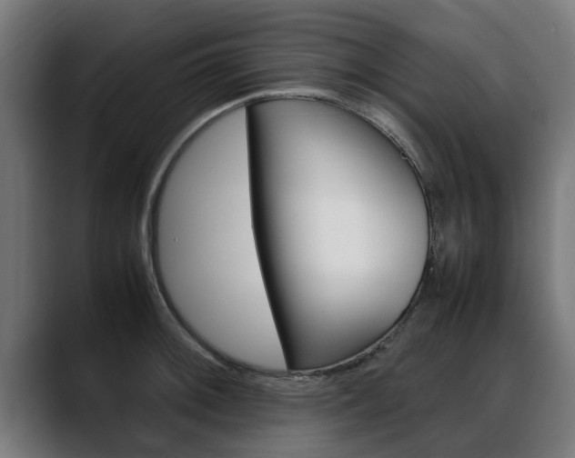 X0000088641092200705250914