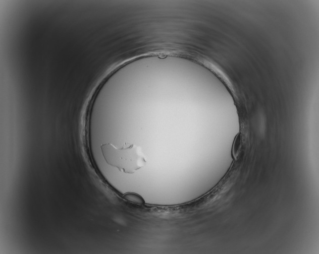 X0000088641099200705250913
