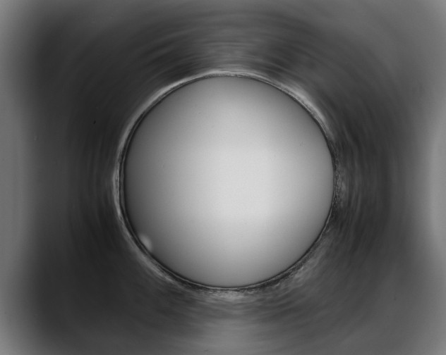 X0000088641100200705250913