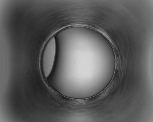 X0000088641101200705250913