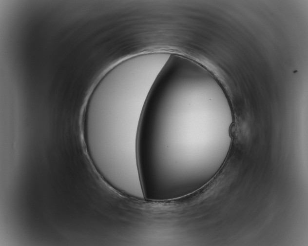 X0000088641102200705250913