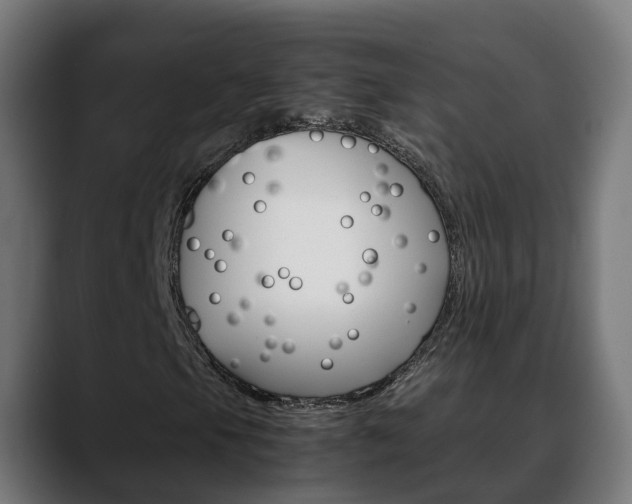 X0000088641105200705250913