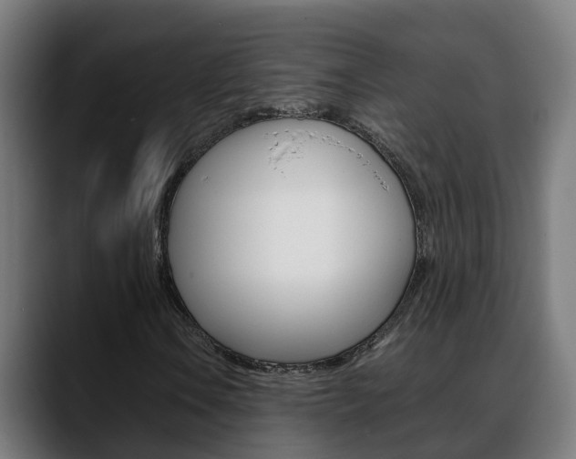 X0000088641106200705250913