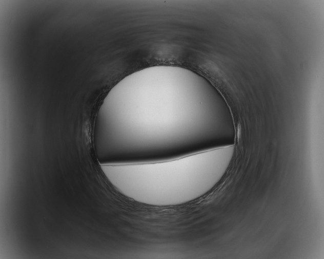 X0000088641107200705250913