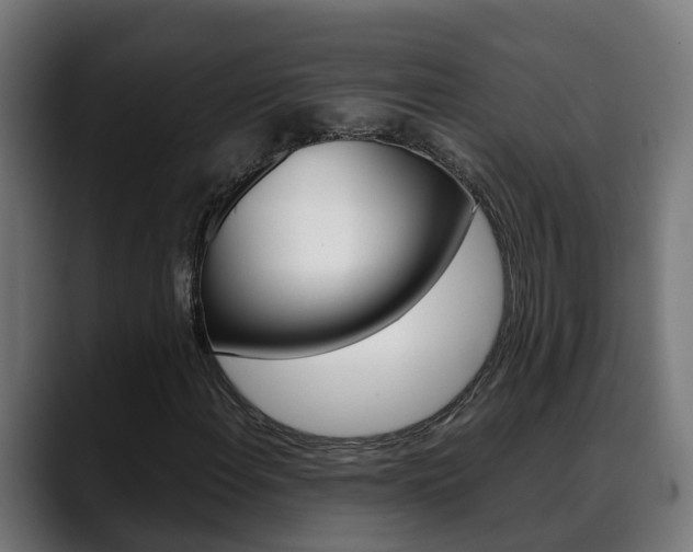 X0000088641108200705250913