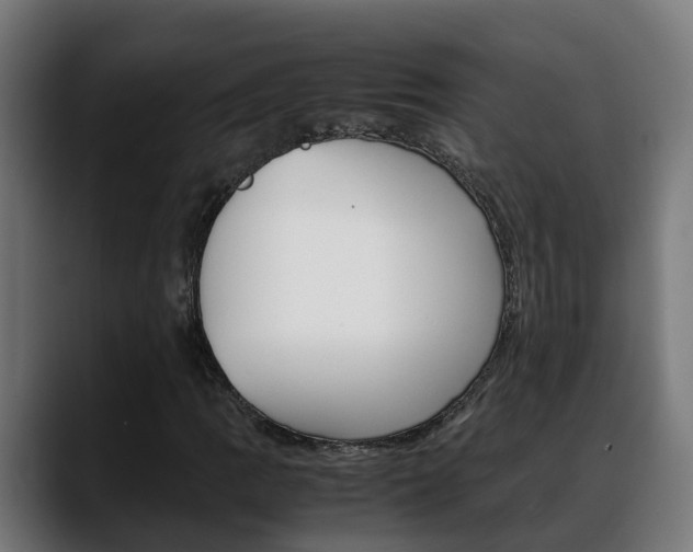 X0000088641109200705250913