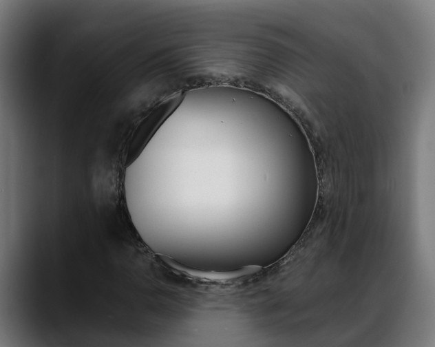 X0000088641110200705250913