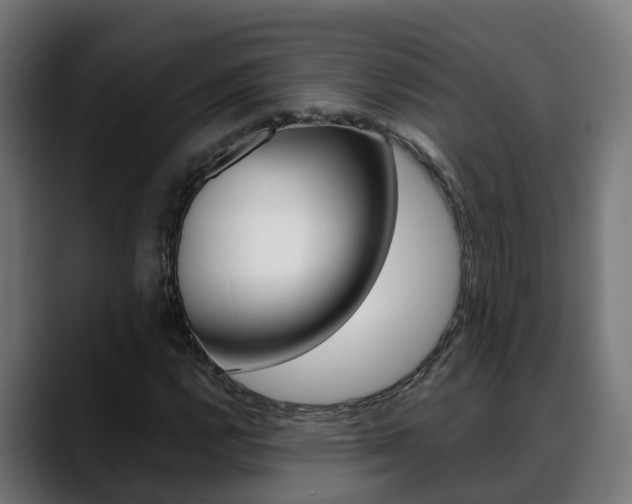 X0000088641112200705250913