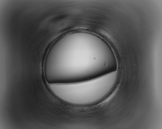 X0000088641113200705250913