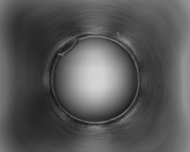 X0000088641114200705250913
