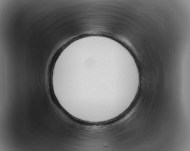 X0000088641122200705250913