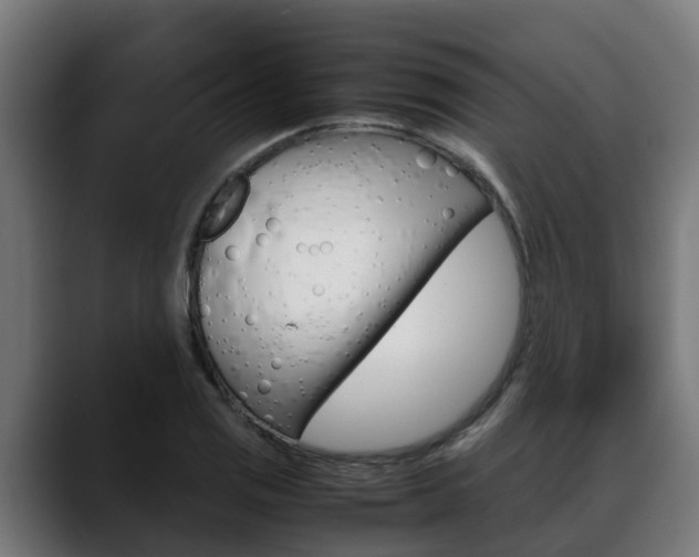 X0000088641125200705250913