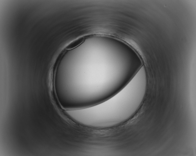 X0000088641128200705250913