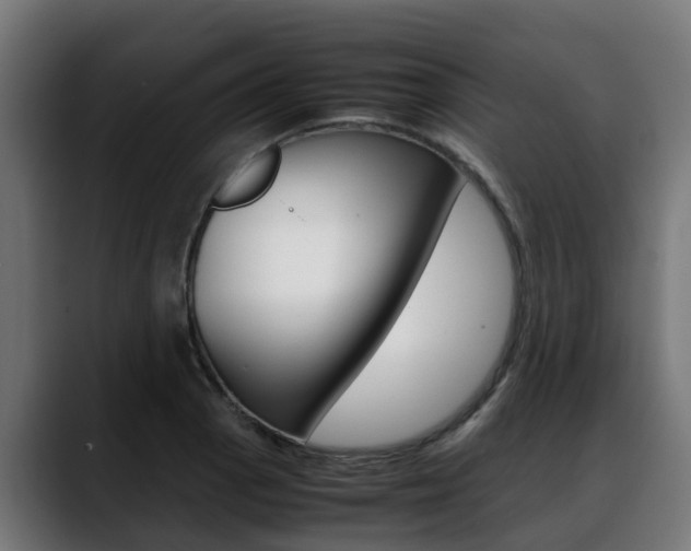 X0000088641129200705250913
