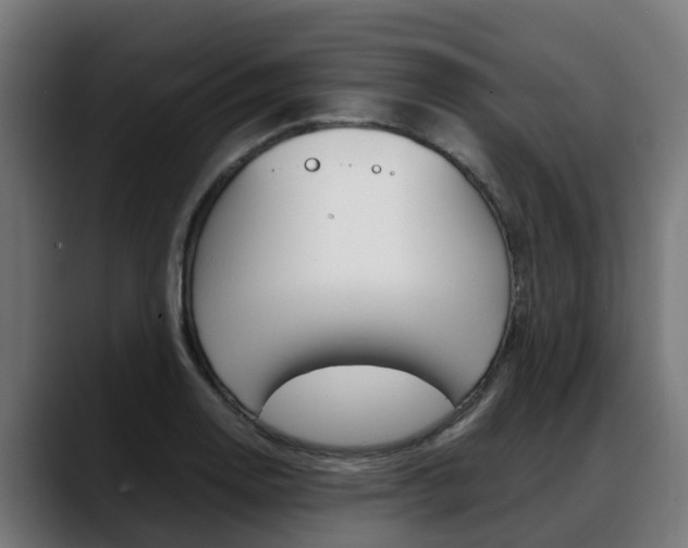 X0000088641130200705250913