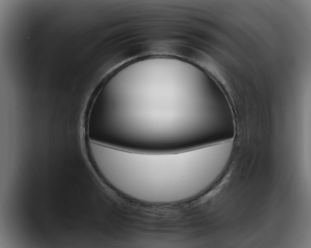 X0000088641133200705250913