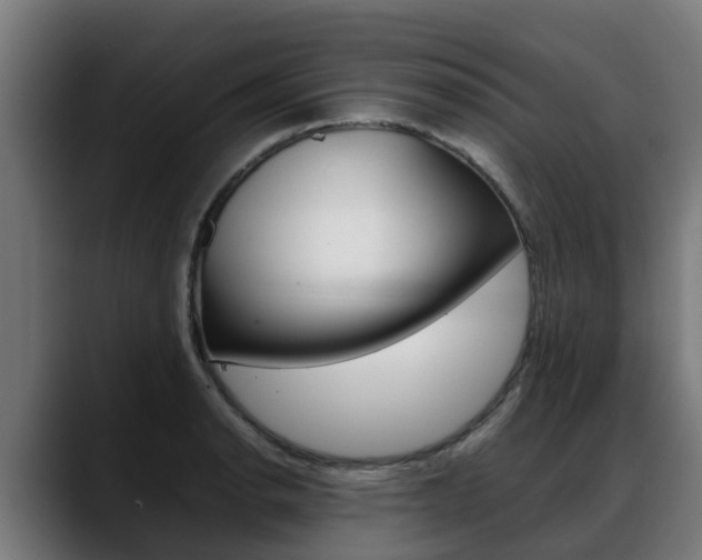 X0000088641134200705250913