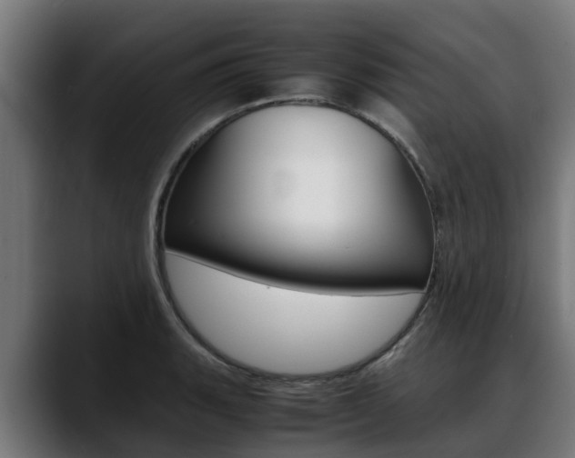 X0000088641135200705250913
