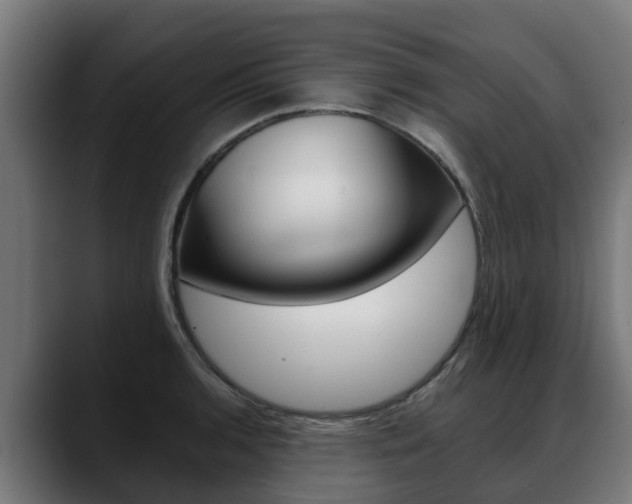 X0000088641136200705250913