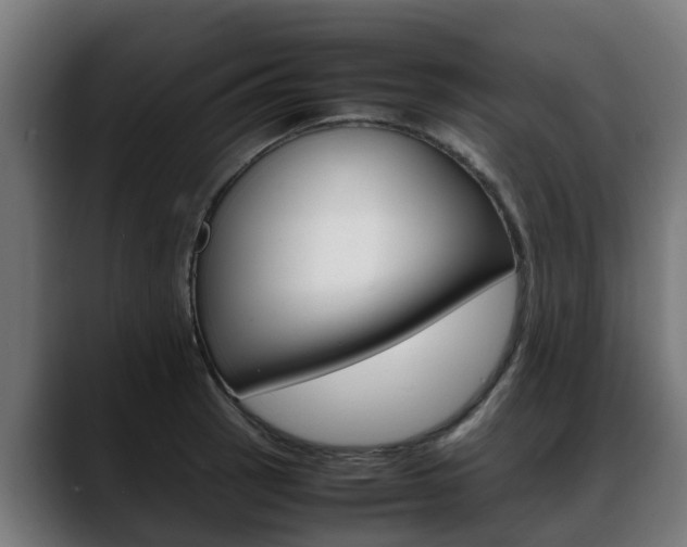 X0000088641137200705250913