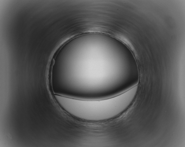 X0000088641138200705250913