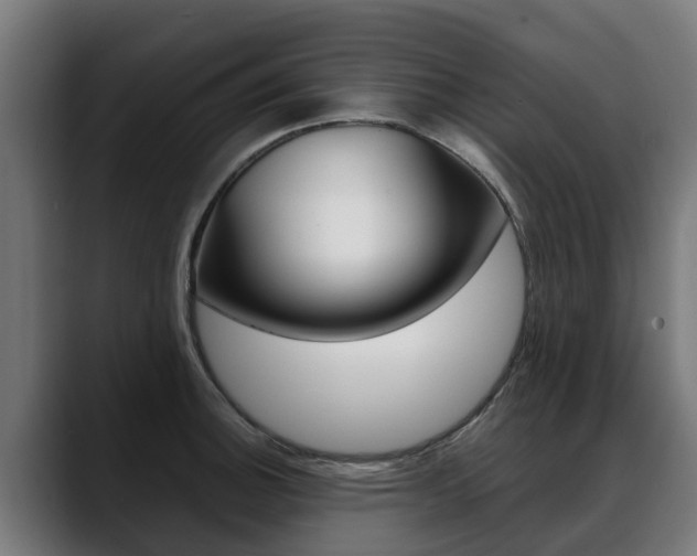X0000088641140200705250913