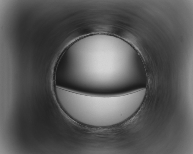 X0000088641143200705250913