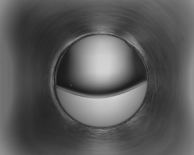X0000088641144200705250913