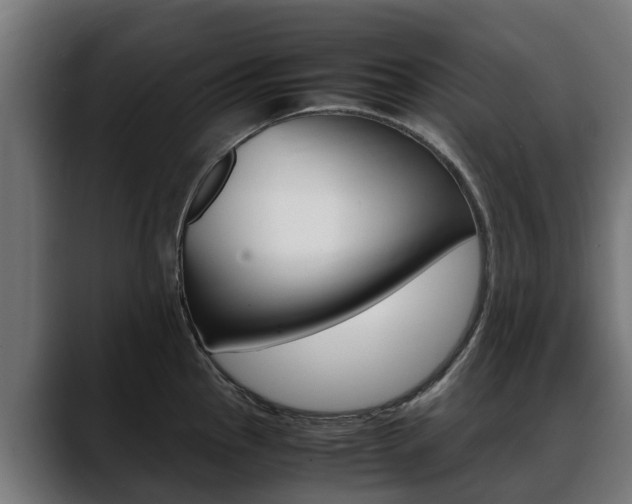 X0000088641145200705250913