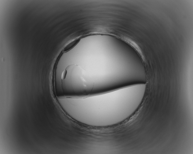 X0000088641146200705250913