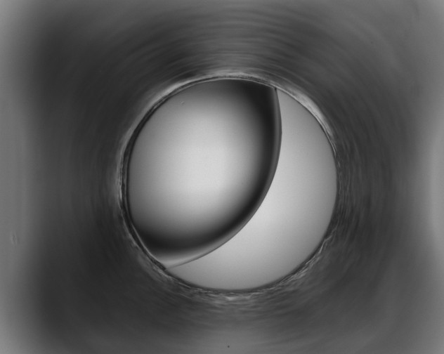 X0000088641148200705250913