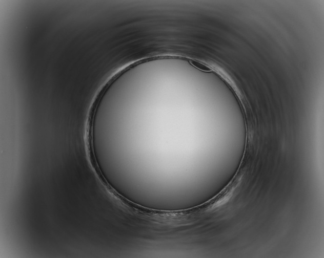 X0000088641149200705250913