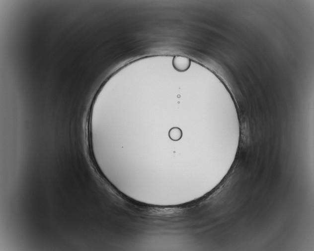 X0000088641150200705250913
