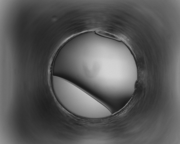 X0000088641151200705250913
