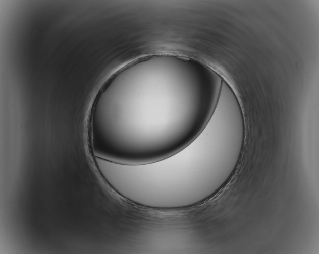X0000088641152200705250913