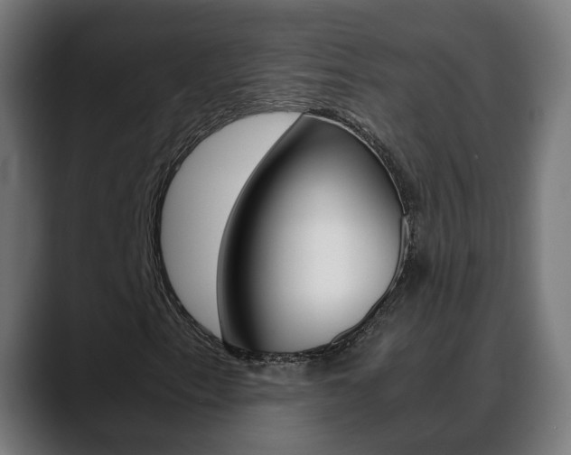 X0000088641153200705250913