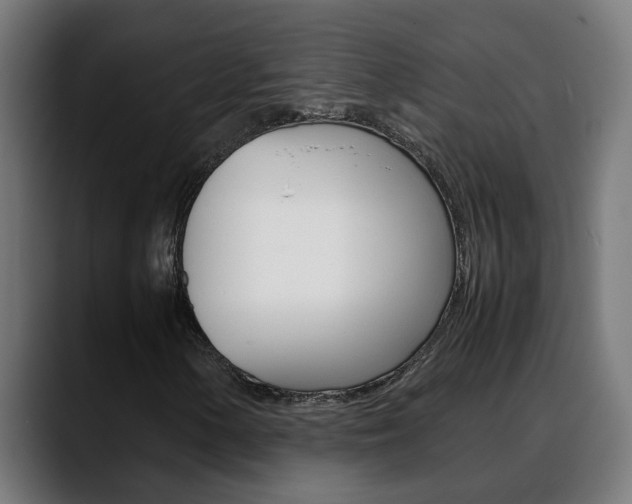 X0000088641154200705250913