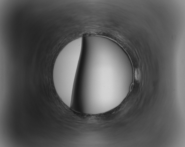 X0000088641155200705250913