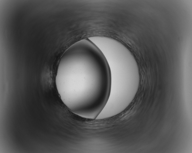 X0000088641156200705250913