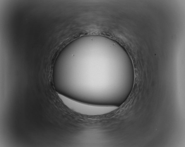 X0000088641157200705250913