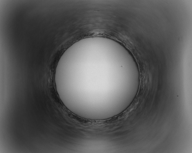 X0000088641158200705250913