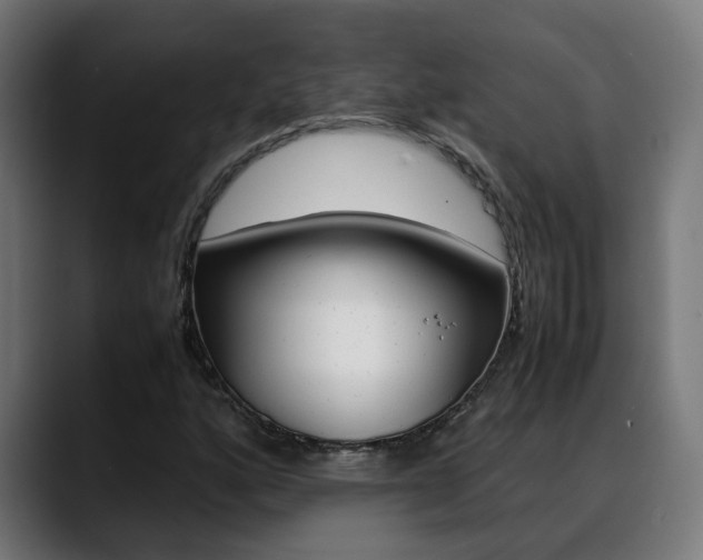 X0000088641160200705250913