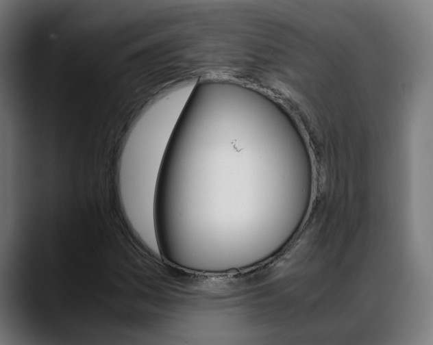 X0000088641161200705250913