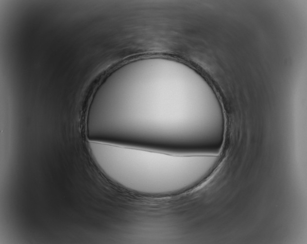 X0000088641163200705250913