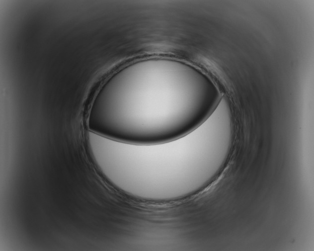 X0000088641164200705250913