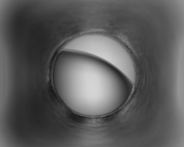 X0000088641165200705250913