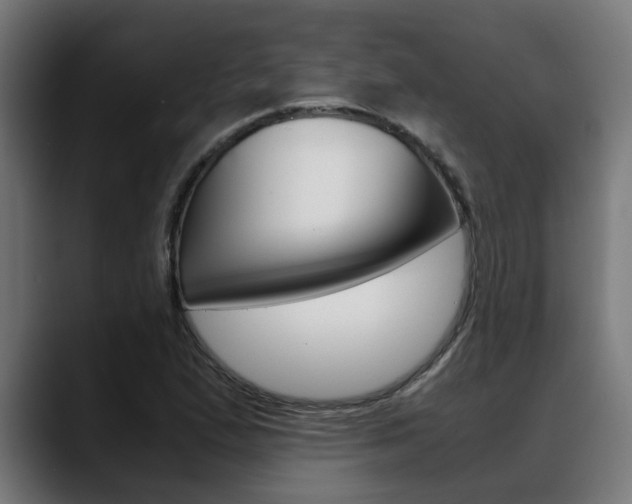 X0000088641167200705250913