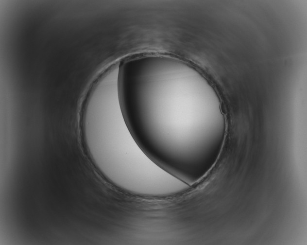 X0000088641168200705250913